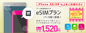 IIJmioのeSIMプラン
