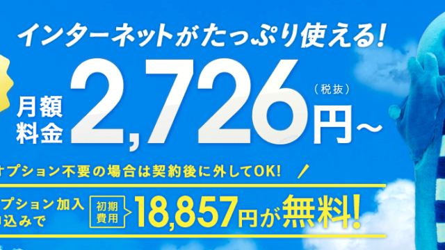 BroadWiMAXの概要